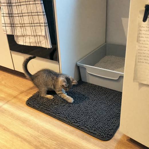 Charlene M. — Verified KittyReef customer