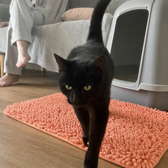Beth C. — Verified KittyReef customer