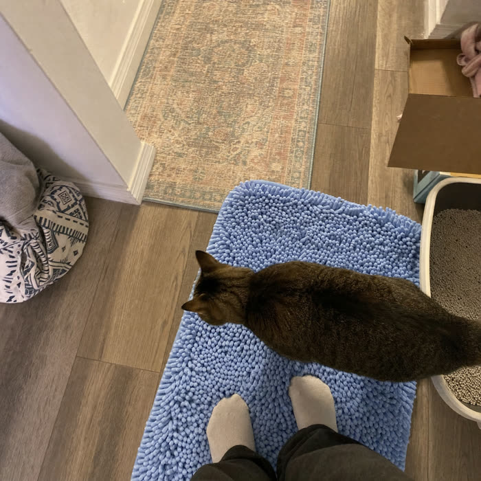 Gloria R. — Verified KittyReef customer