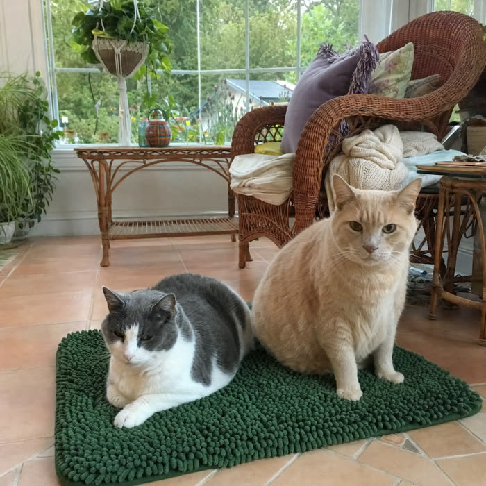 Harold & June — Verified KittyReef customer