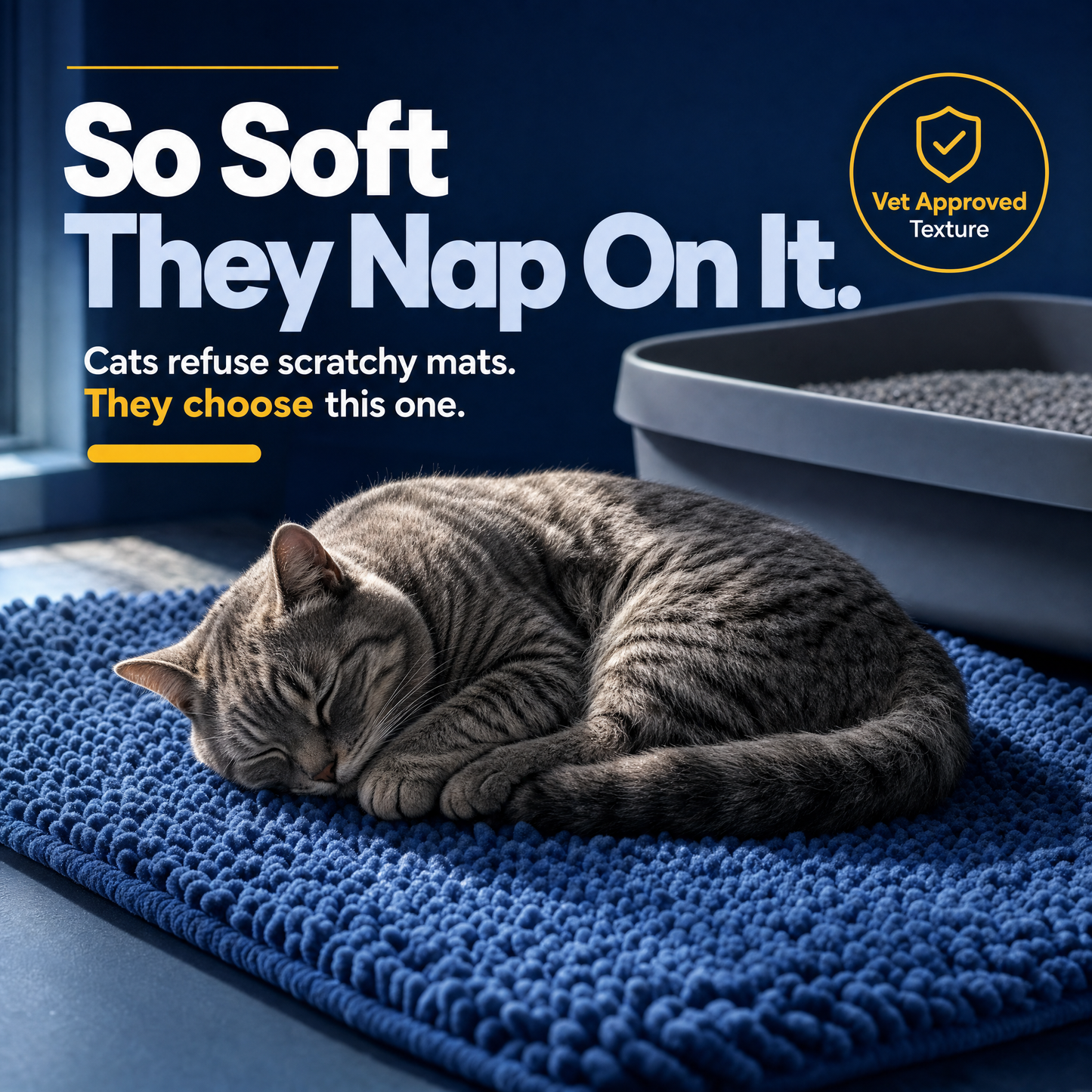 Cat Litter mat
