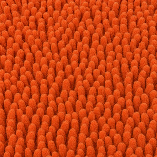 Cat Litter mat