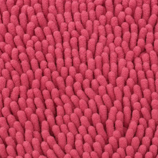 Cat Litter mat