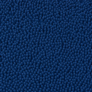 Cat Litter mat