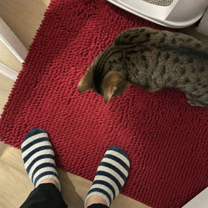 Renee & Mochi
