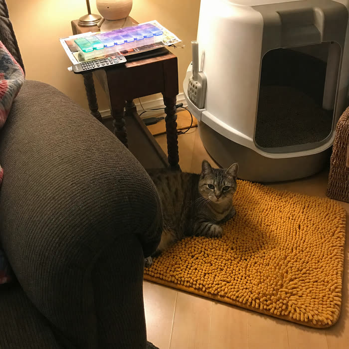 Dot P.