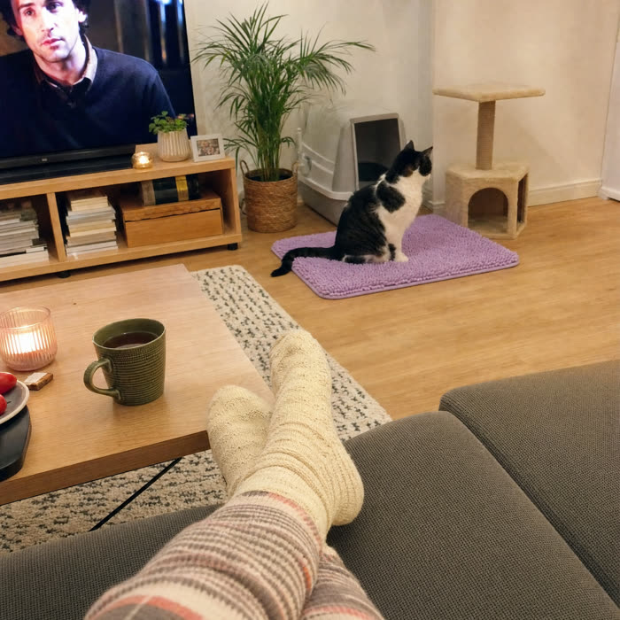 Colleen M. — Verified KittyReef customer
