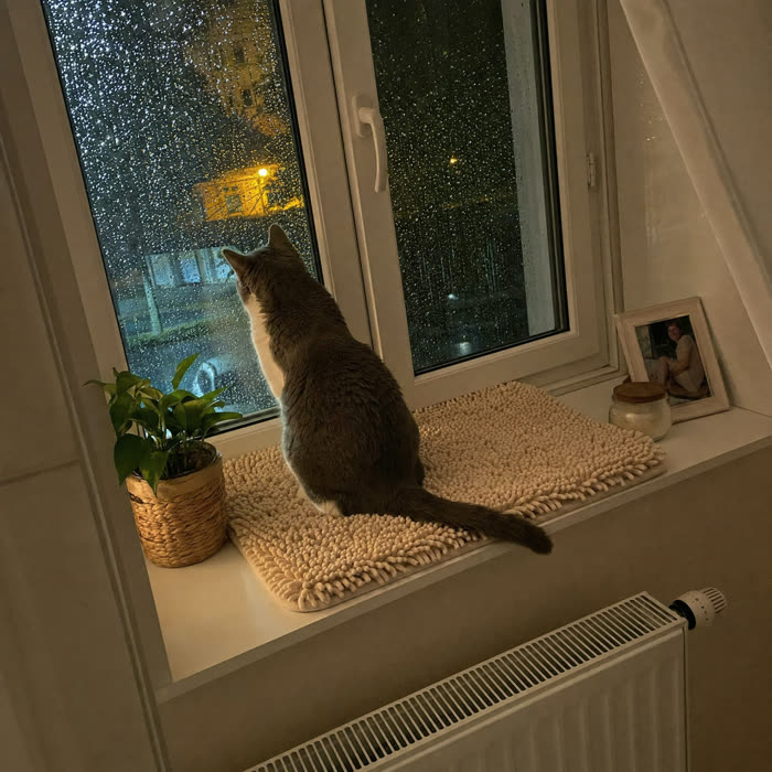 Sandra L. — Verified KittyReef customer