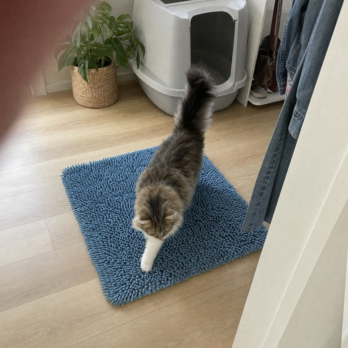 Bonnie S. — Verified KittyReef customer